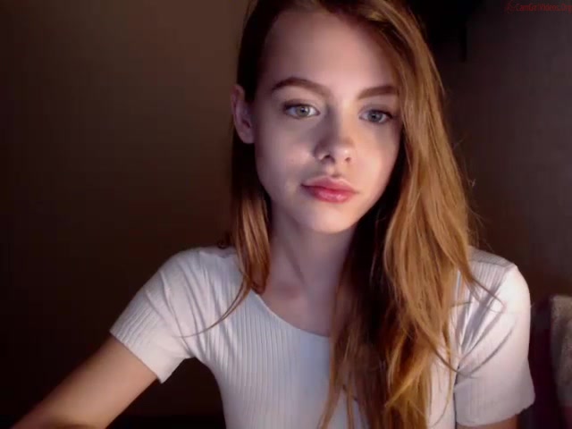 Jessie lock webcam